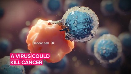 Учени изобретиха вирус, който може да убива ракови клетки