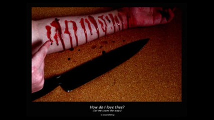 Rihanna Eminem - Love The way you lie