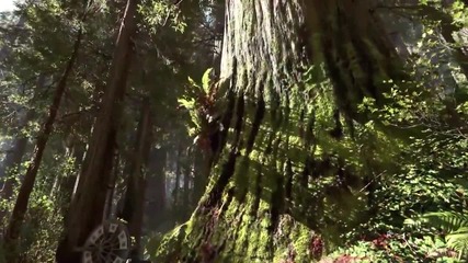 Star Wars Battlefront - Planets Trailer