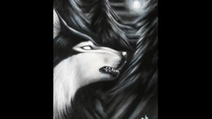 Dark Wolves
