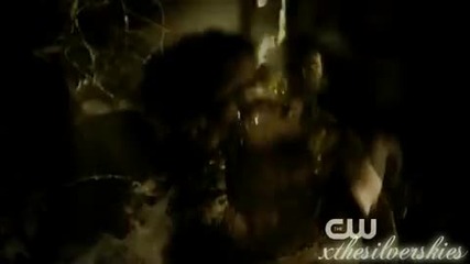 The Vampire Diaries { Illuminated }