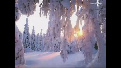 Коледа | Stefan Hrusca - Ninge la fereastra
