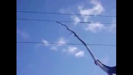 Само идиот би направил това [смях]