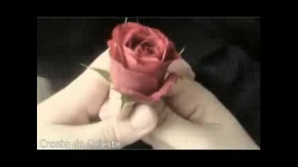 Cocciante - A Mano A Mano