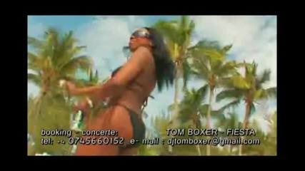 tom boxer - fiesta