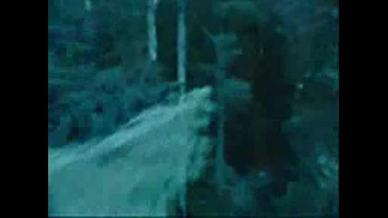 Twilight Fanclip
