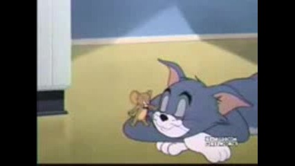 Tom And Jerry 