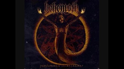 Behemoth - Driven By The Five - Winged Star