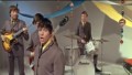 The Animals - Dont Let Me Be Misunderstood ( 1965 )