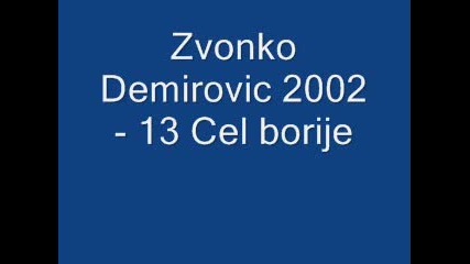 Zvonko Demirovic 2002 - 13 Cel borije