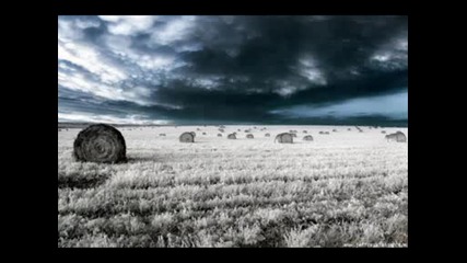 beautiful pics