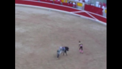 pamplona san fermin