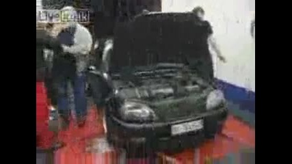 Дятка Стъпва На Валяк