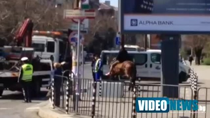 Паяк репатрира каруца в центъра на София, конят остана