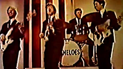 Brian Poole & The Tremeloes ( 1965 ) - Twist Little Sister