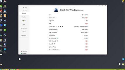 Clash For Windows (proxy & Vpn)