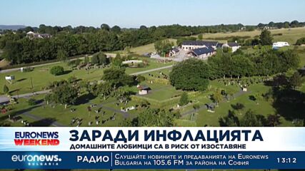 Заради инфлацията: Домашните любимци са в риск от изоставяне