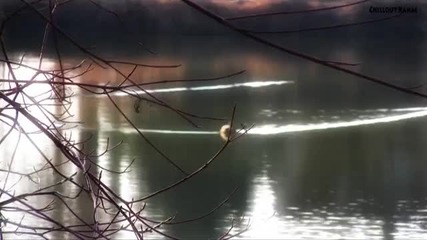 Цветни Сънища 