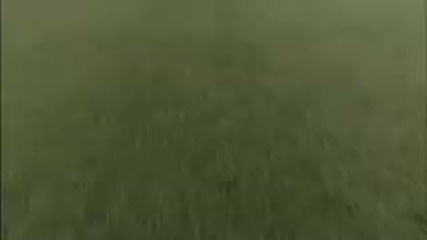 Nike Next Level (full version) 