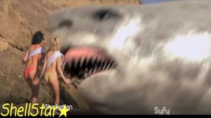 The Ultimate Shark Tribute The Oscars Movies Trailer Holywood Film Menejer 2017 Hd