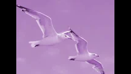 Ernesto Cortazar - Together Again