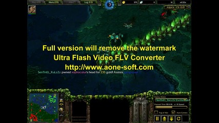 War3 2008 - 07 - 16 17 - 43 - 58 - 75.flv