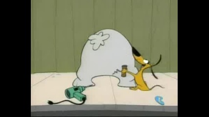 2 Stupid Dogs Home Is Where Your Head Is