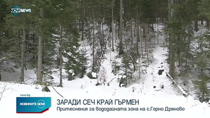 Село Горно Дряново са готви за протест заради сеч, която може да замърси водата им