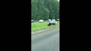 ЗРЕЛИЩНА ГОНКА: Полицията преследва избягала крава по магистрала