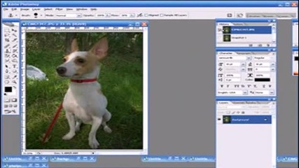 Photoshop Трик