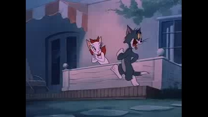 Tom & Jerry - Smarty Cat