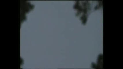 Заснето НЛО На Камера Във Флорида !!!