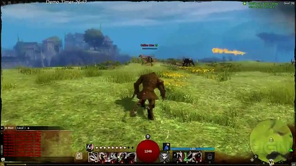 Guild Wars 2 Thief - Bow Gameplay