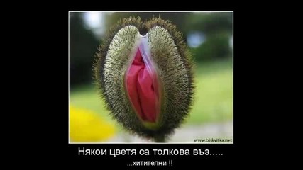 Най-откачените снимки