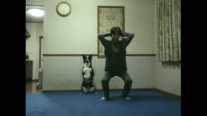 Куче прави гимнастика