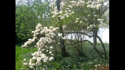 Пролет Spring 