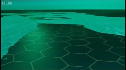 Changing Environment - Polar Bear Battlefield - Bbc