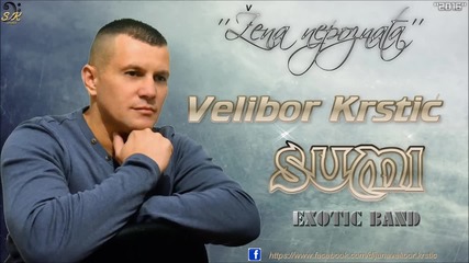 Velibor Krstic Sumi - Zena nepoznata - 2016