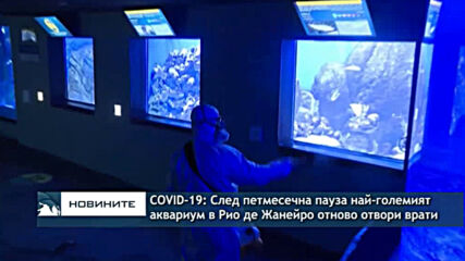 COVID-19: Най-големият аквариум в Рио де Жанейро отново отвори врати за посетители