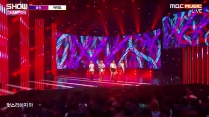 248.1102-1 Bulldok - Why Not, [mbc Music] Show! Champion E206 (021116)