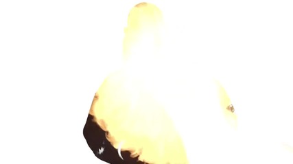 Vexos- Im Burnt