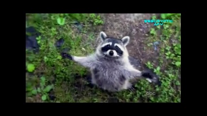 8 Минути Смях