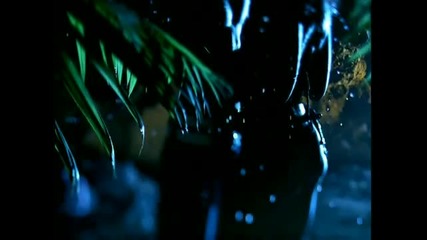 Akon - Bananza (belly Dancer) 