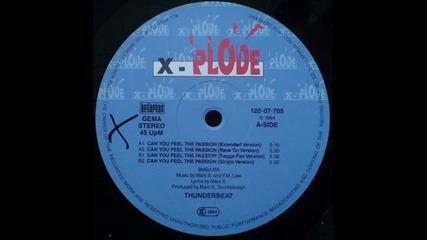 Thunderbeat - Can You Feel The Passion (single Euro Version)