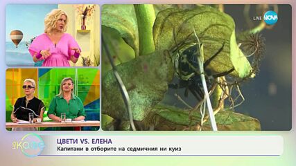 Кое изобретение е измислено от паяк векове преди хората да го открият