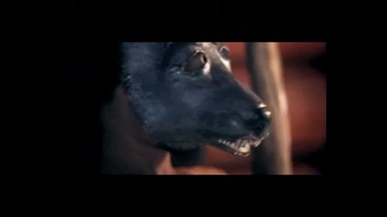 Jadyn Maria Feat. Flo Rida - Good Gilrs Like Bad Boys