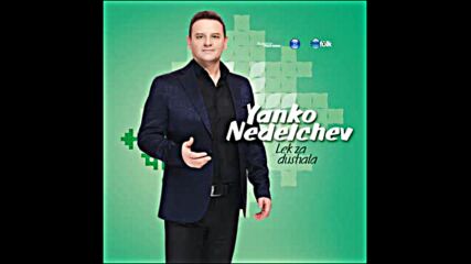 Yanko Nedelchev - Snoshti doydoh, Mare.mp4