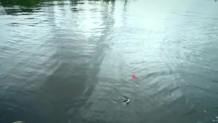 Какво още можем да правим с един дрон, освен да снимаме .. Да ловим риба, например!