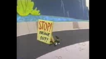 Road Runner