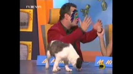 Господари На Ефира 29.09.08 - Dancing Stars Копирват От Тв 